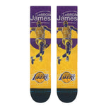 Stance Socks NBA Pasted Lebron